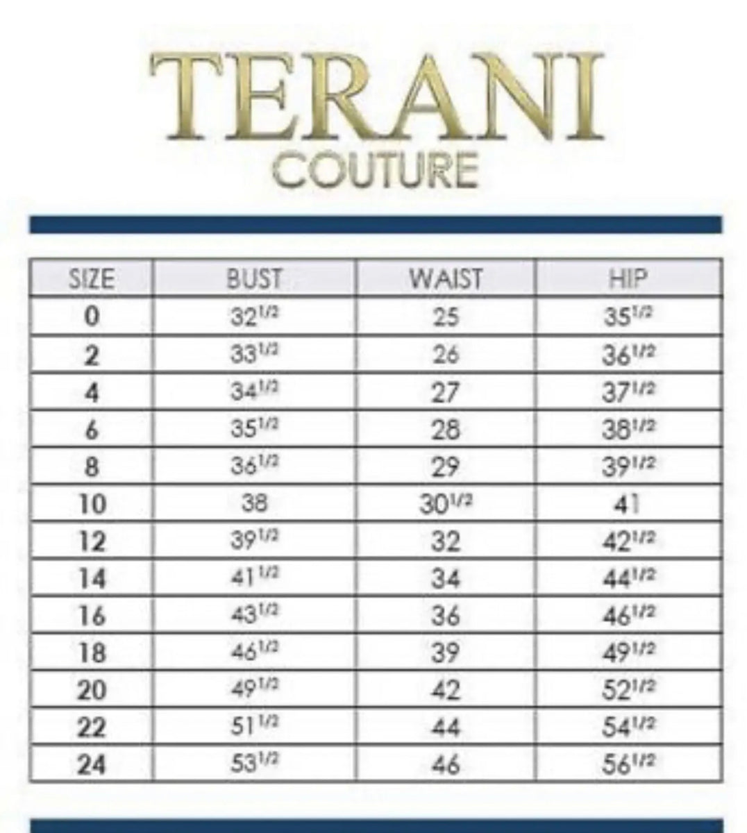 TERANI COUTURE SILVER Long Evening dress size 16 MCHPI Store
