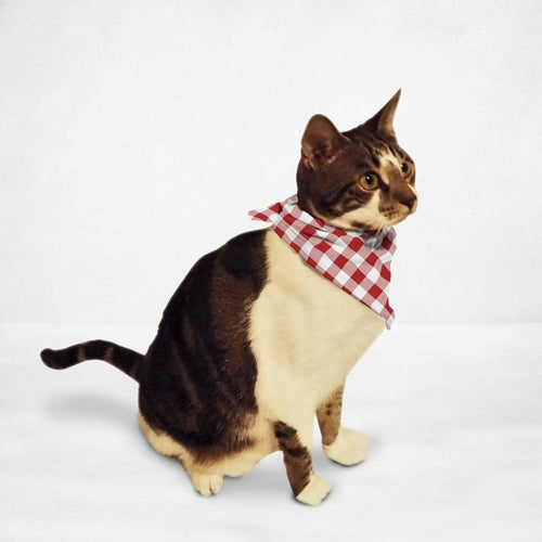 MCHPI Store Retro Tablecloth Cat & Dog Bandana