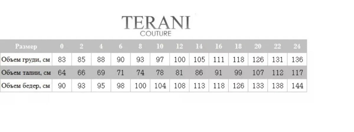 TERANI COUTURE SILVER Long Evening dress size 16