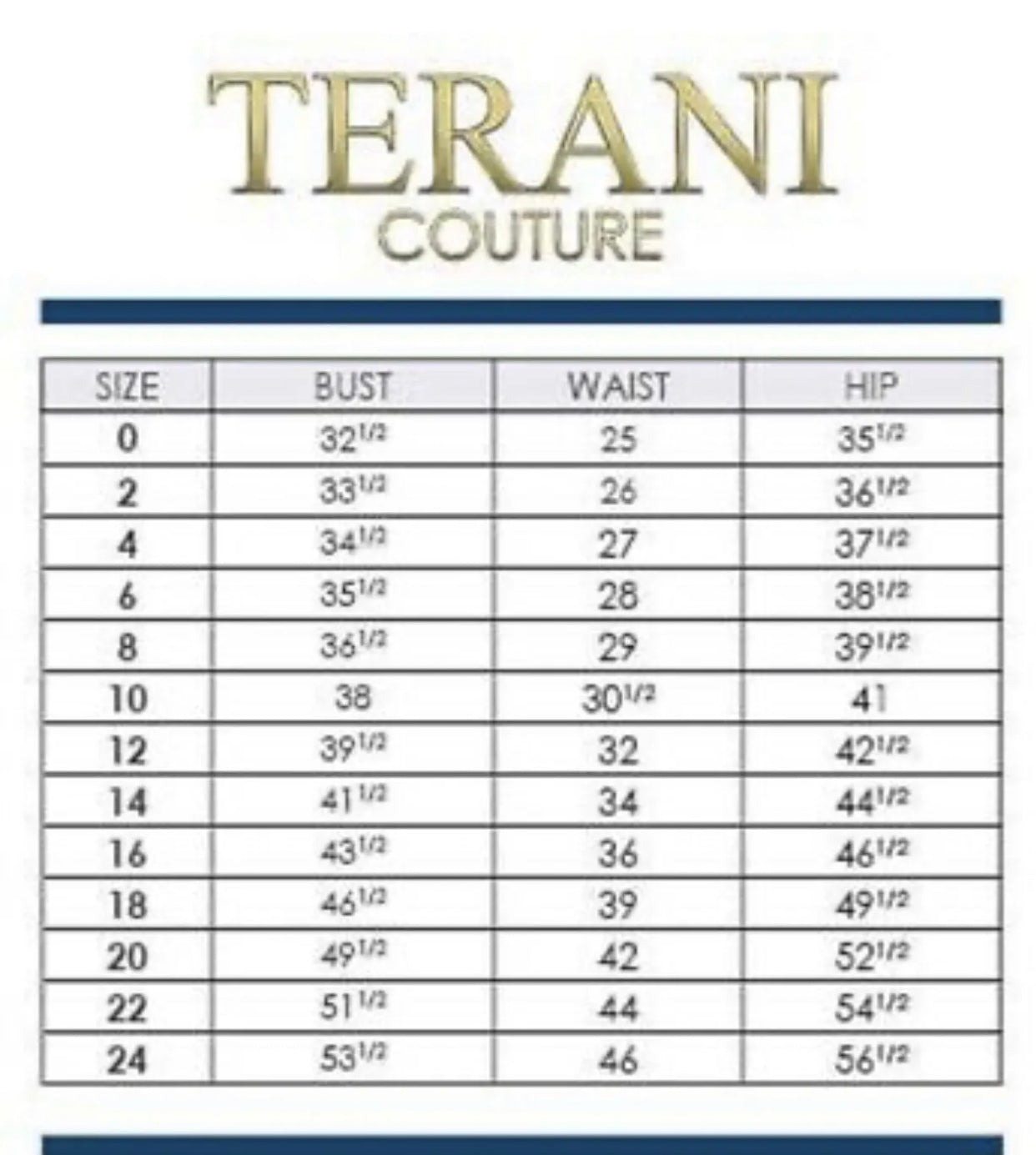 TERANI COUTURE SILVER Long Evening dress size 16